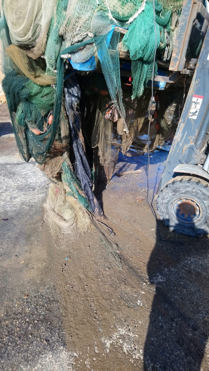 WhatsApp Image 2020-07-05 at 8.58.21 PM.jpeg.jpeg